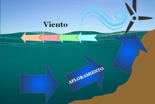 Gráfico de una corriente de afloramiento en este medio subacuático