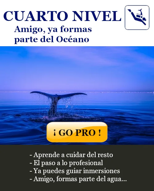 Entrada al cuarto curso de buceo