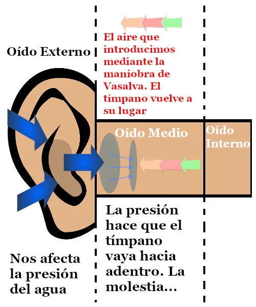 Ilustra lo que ocurre al compensar nuestros oídos al bucear en el descenso