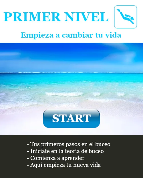 Acceso al primer nivel de formacion