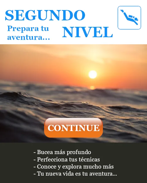 Acceso al segundo nivel de formación de buceo