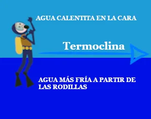 Muestra la explicación de una termoclina en el entorno de buceo.