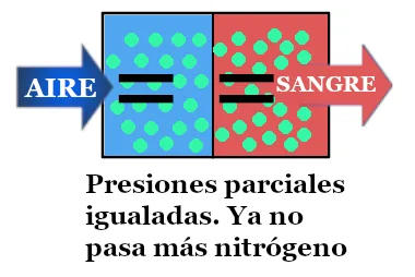 Alvéolo en sobresaturación