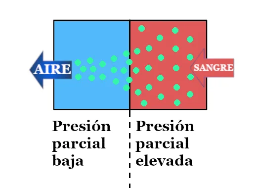 desaturación de nitrógeno