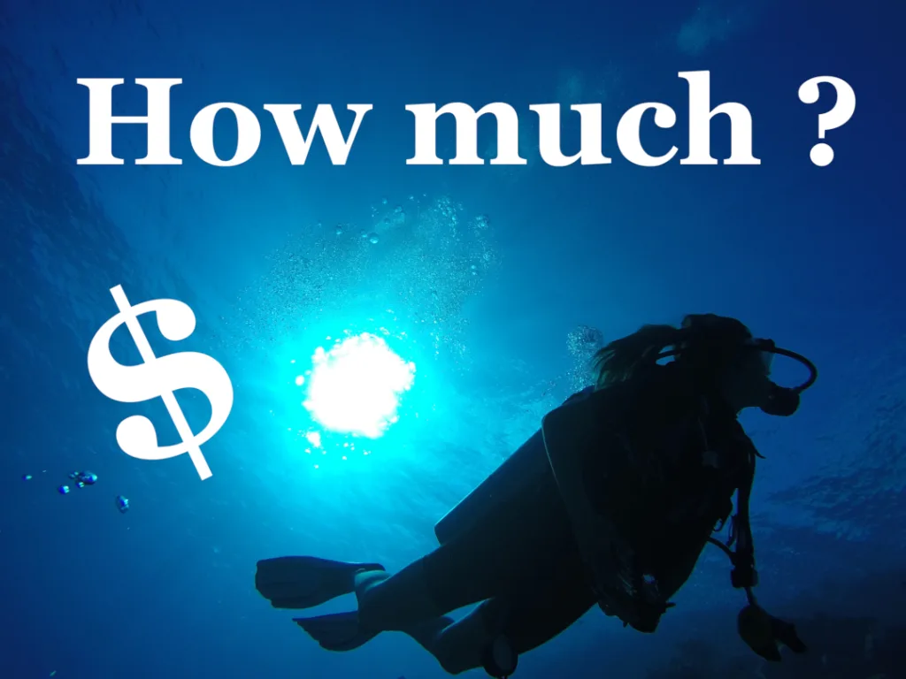 Cuál es el precio de un curso de buceo.