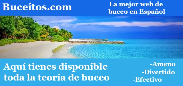 Ver el primer curso de buceo