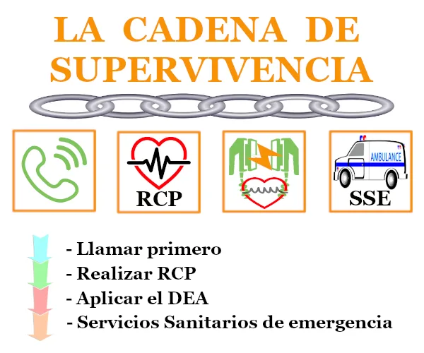 Cadena de supervivencia en primeros auxilios
