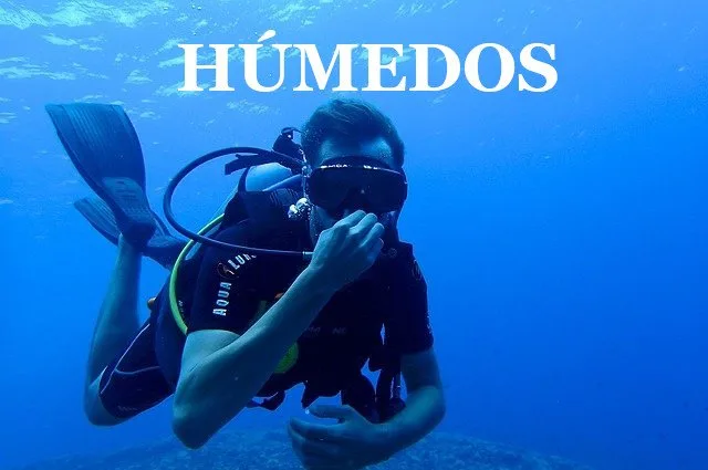 Traje húmedo de buceo