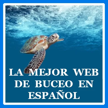 Acceso mediante enlace a las sección completa de los cursos de buceo